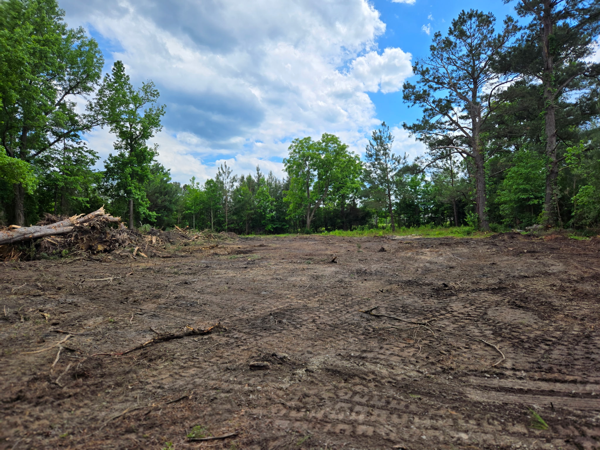 land clearing, construction site, heavy machinery
